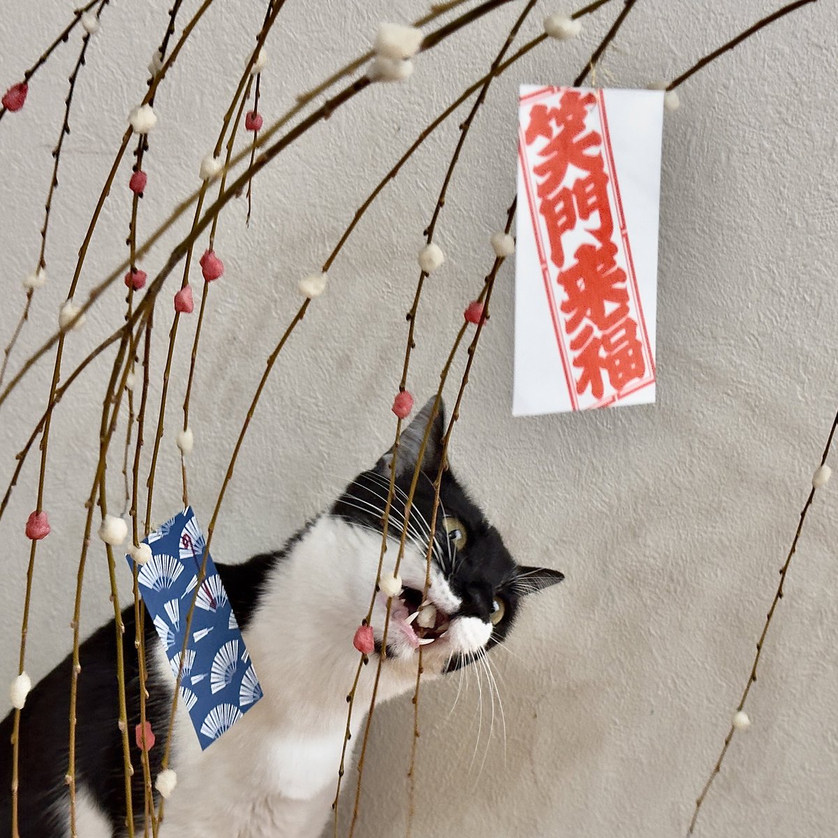 Qu_ma_'s tweet photo. コラ！ https://t.co/rGHTyT9xk4