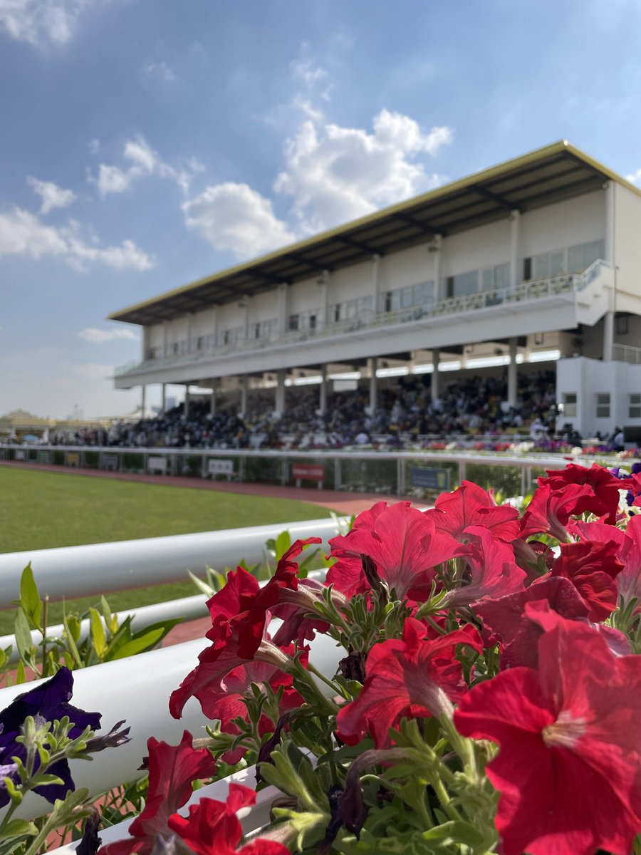 Last meeting of 2023 @jarcOfficial 

R1: ITCHY DE NACRE
R2: GHAALEB
R3: MOLAQAB
R4: PRIMA SUMMER
R5: FRANZ STRAUSS
R6: GARETH
R7: WESSALL

#UAEracing