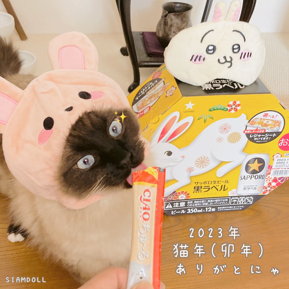 SIAMDOLL2021's tweet photo. 2023年も残すところ2日😌
ちゅーる納め😸よいお年を♪

[猫年＆卯年の総括]
今年は飛躍の１年となりました🐇
年始の頃は100名程でしたがなんと
1,215名様もの方々と繋がることが
できました~🎉感謝🎊
起業して3年目の壁も越えました👌
#2023年 #年の瀬 #１年の振り返り
#猫 #cat #奈良 #日本 #SIAMDOLL https://t.co/lesKEE8fDe