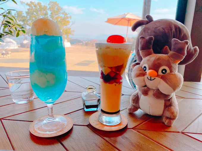 ポケ蓋巡りとプリンパフェ!