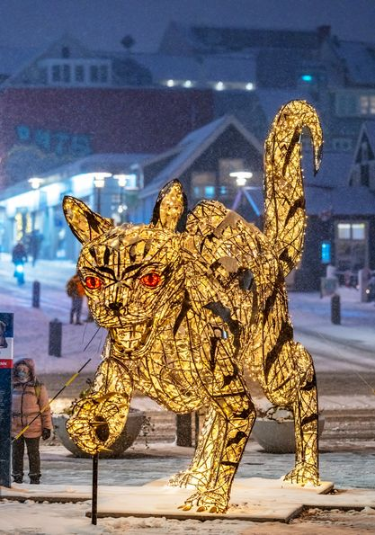 The Christmas Cat, who's known to eat naughty children. Reykjavík, Iceland
via inspiredbyiceland
📷 Ragnar Th. Sigurðsson | Arctic-Images