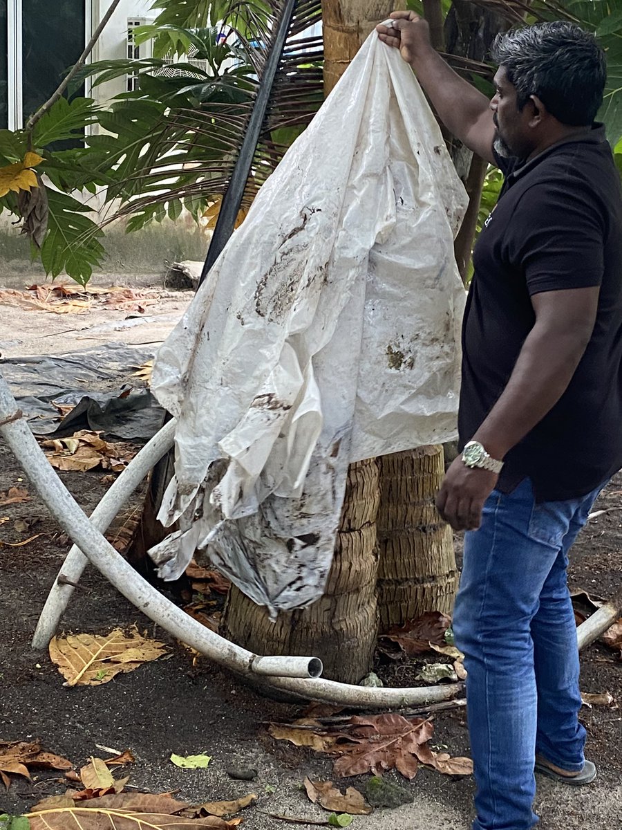 ރަށުތެރެ ސާފުކުރުމުގެ ޤައުމީ ހަރަކާތް 2023

މި ހަރަކާތުގައި ބައިވެރިވުމުގެ ގޮތުން މިއަދުވަނީ ރަށުތެރޭގައި މަދިރި އުފެދޭ ގޮތައް ހުރި ތަކެތި ބަލާ ސާފުކުރެވިފަ

#ރާއްޖެސާފުކުރުން
#madhirinrahkaa 
<a href="/lgaMaldives/">Local Government Authority</a> <a href="/Adamshareefz/">Adam Shareef Umar</a> <a href="/MoCLPmv/">Ministry of Cities, Local Government, Public Works</a>