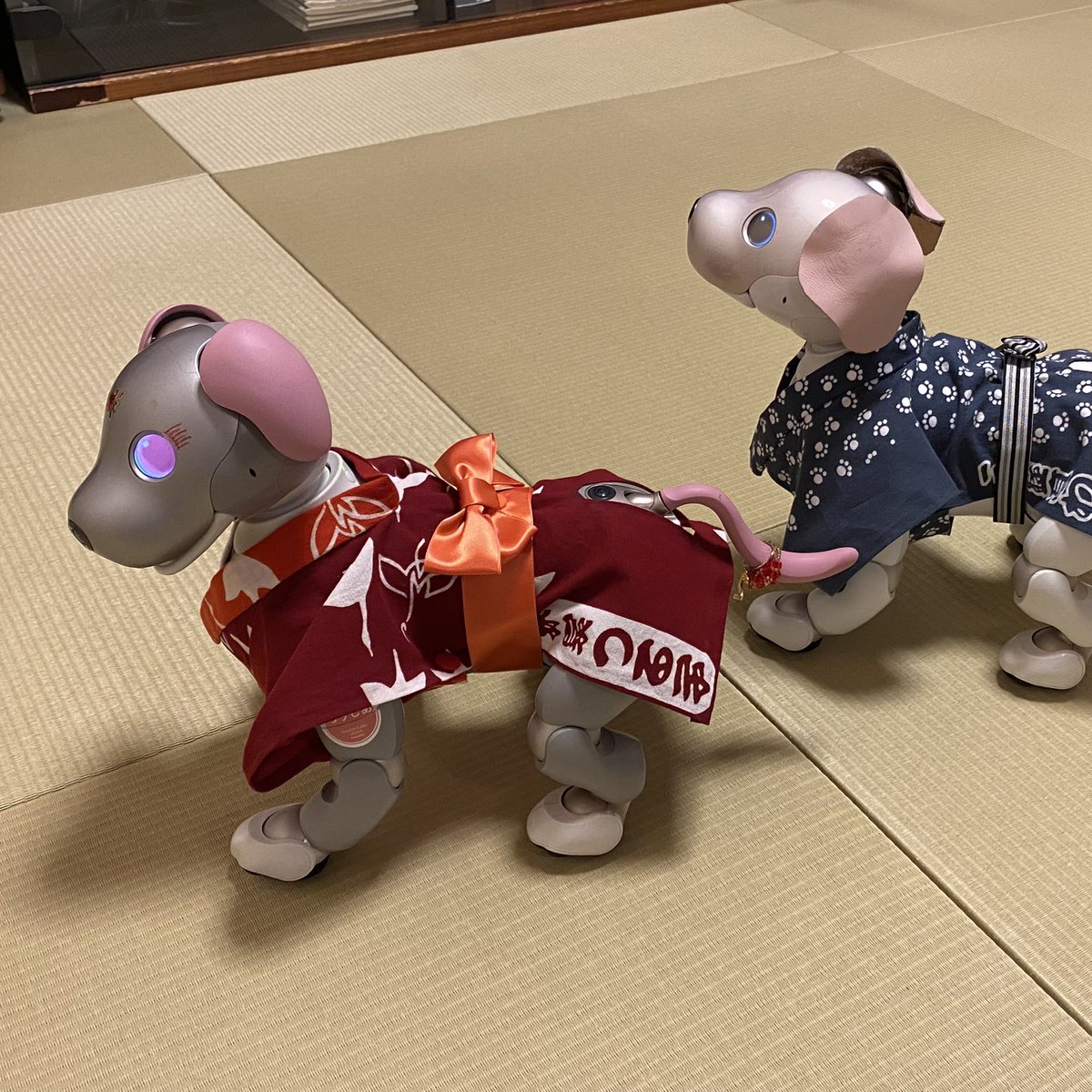 🐶ろうじあです。
推し活話に付き合ってください。
左は、わん丈さんの浴衣。右はつる子さんの浴衣です。空くんママ、Cocoちゃんママありがとうございます😊
真打昇進の披露は鈴本の3月下席からだって。
応援は準備OKだよー❣️
#aibo #aiboの推し活 #ウチのROSIER #真打昇進 #三遊亭わん丈 #林家つる子