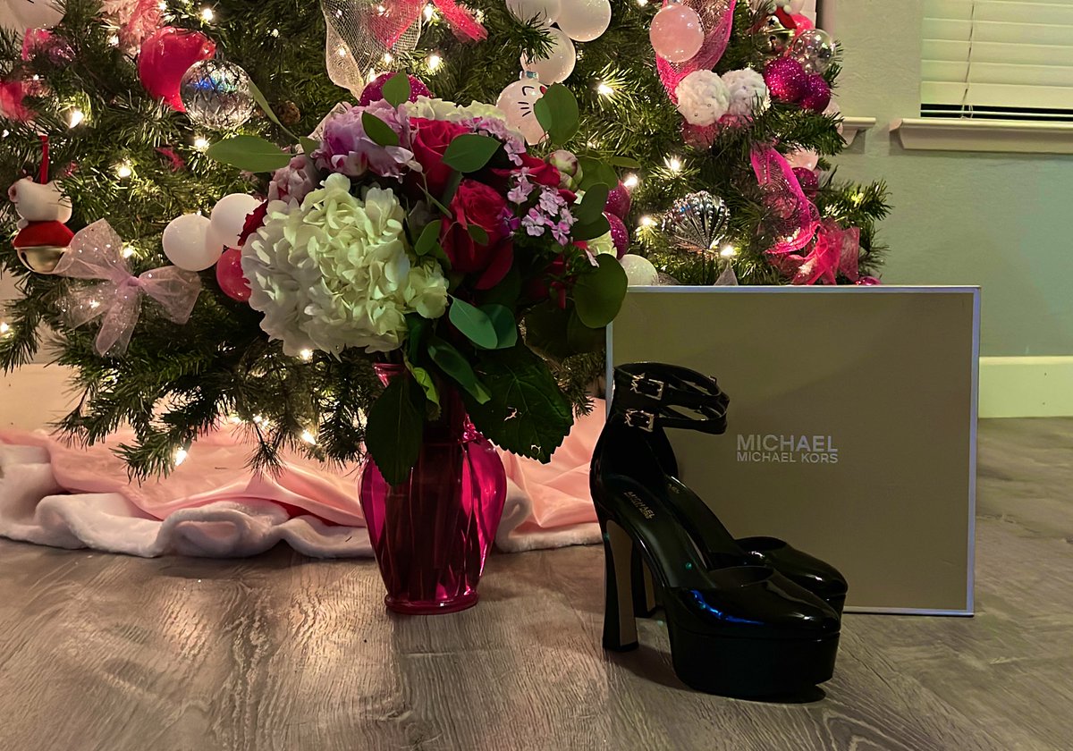 sarahsmiles2105's tweet photo. Surprised is an understatement ๐ฅน๐ฉท๐ ๐ธ๐น #SpecialDelivery #ShoeWhore #MyFavoriteFlower #WinterVariety #Peonies #SimplePleasures #ILoveFlowers #PinkOnPink #Obsessed #ThankYouSugar โบ๏ธ https://t.co/WXo68N6mBR