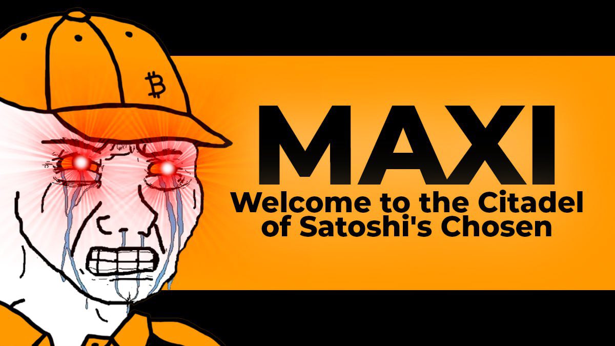 BRC20Maxi tweet media