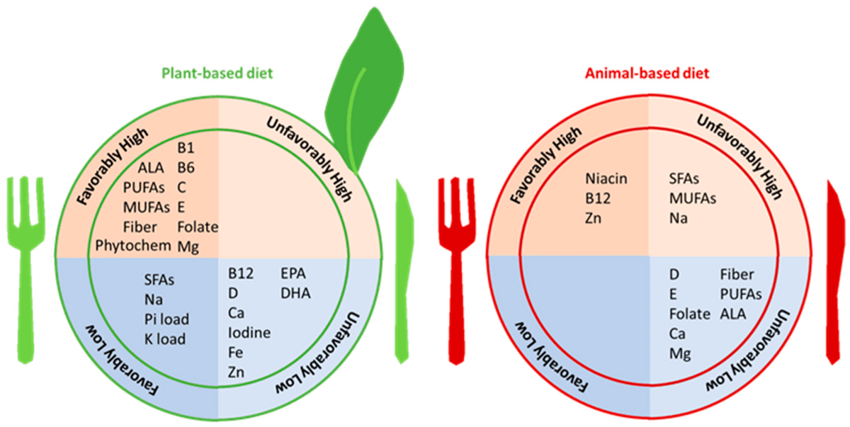 kamkalantar's tweet photo. Vegetarian Nutrition in Chronic Kidney Disease https://t.co/pZlqnGWPVT #mdpinutrients via @Nutrients_MDPI #Nutrients #CKD #Vegan @ConnieMRhee https://t.co/ZDHXp7Neq1