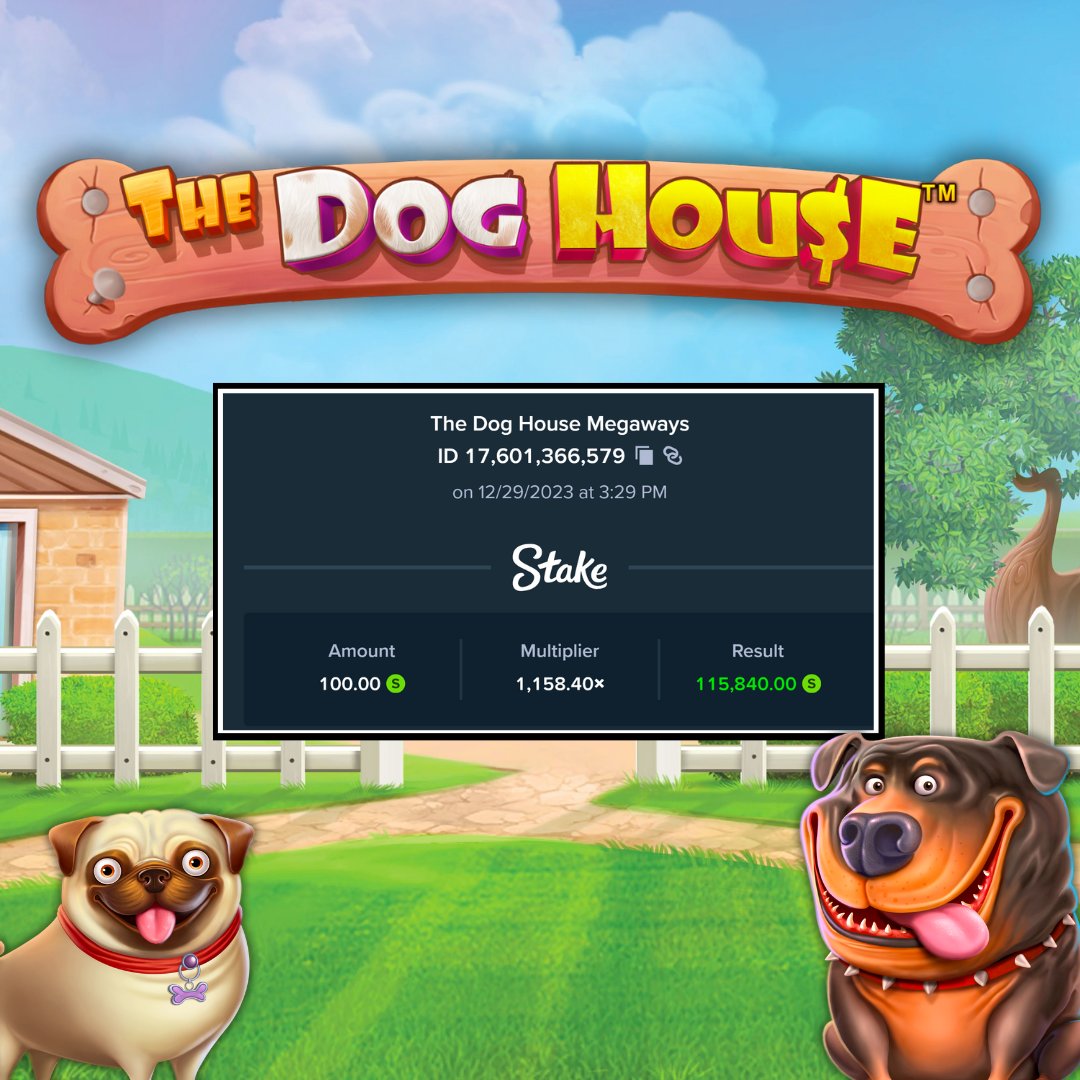 StakeUsa's tweet photo. How's this for a multi 🐶 https://t.co/P0ROQgH19G