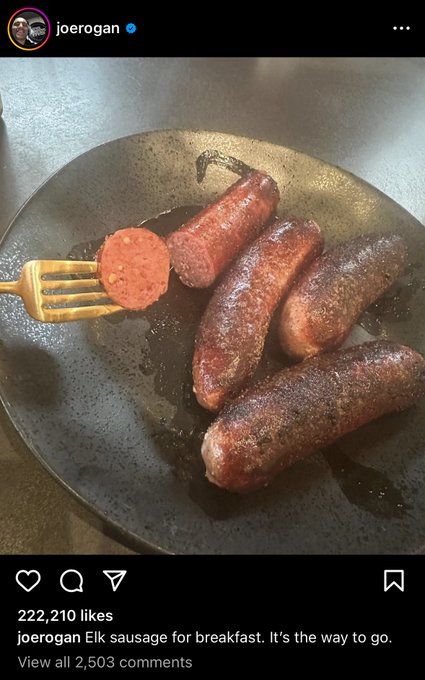 Joe Rogan eating Wieners https://t.co/e6DAVmw42W<a href="/tag/newprofilepic"class="tags"><span>#newprofilepic</span></a>