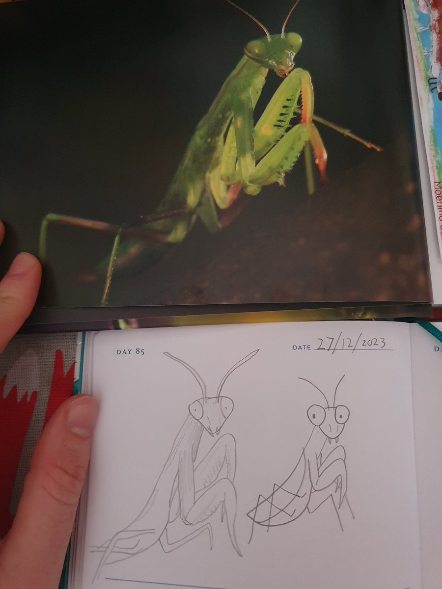 DapperCranium / Bamfudge tweet media