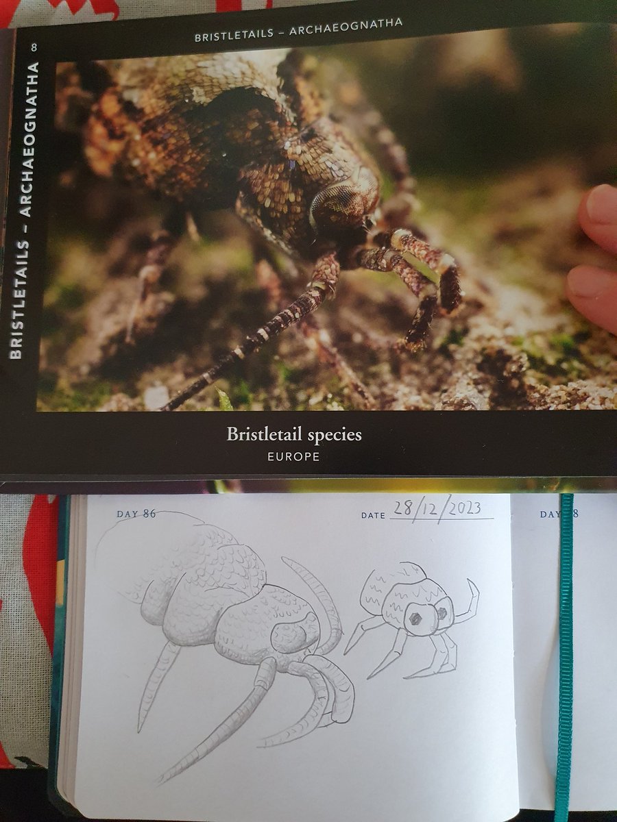 DapperCranium / Bamfudge tweet media