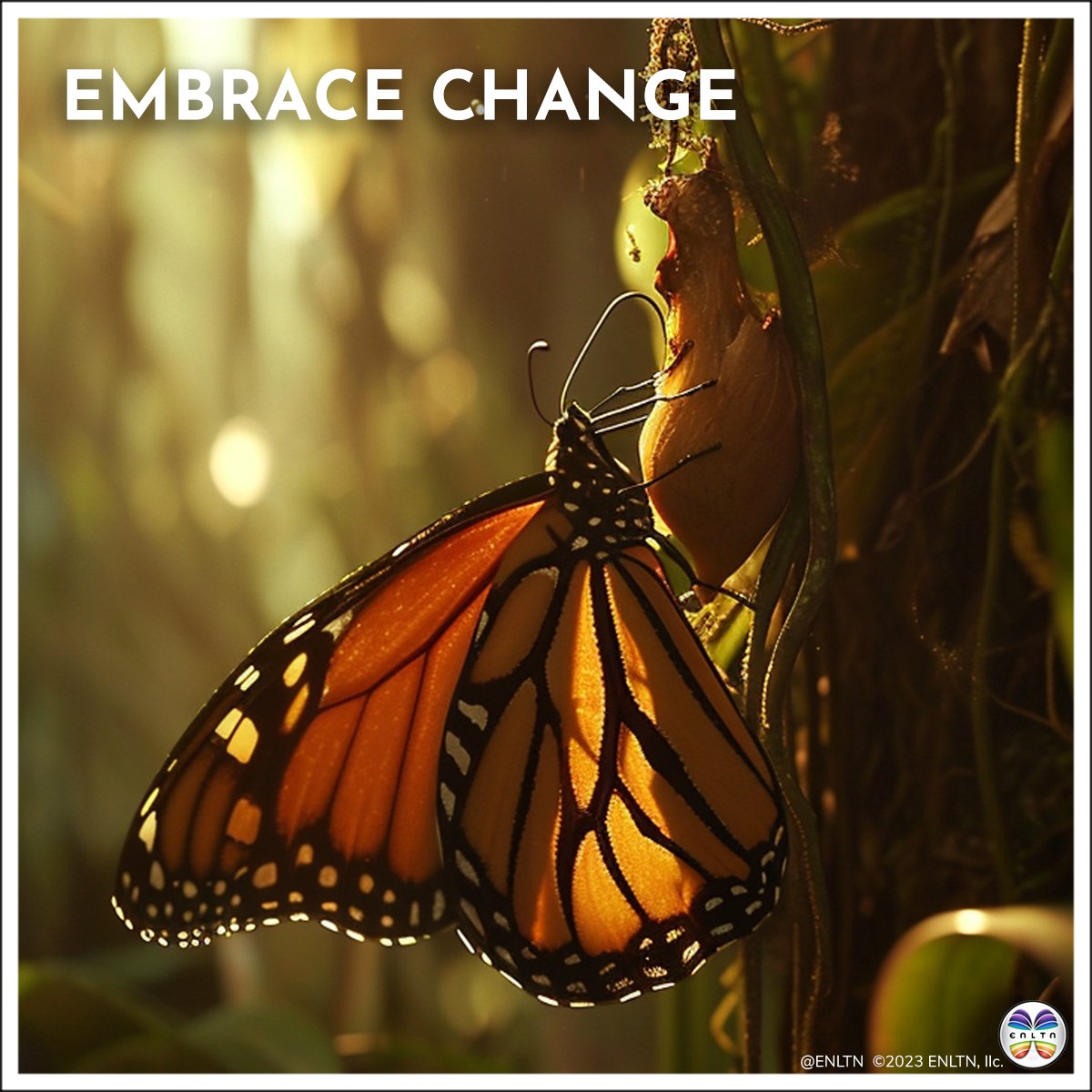 EchoGamut's tweet photo. Embrace Change - The only thing constant is change. -Osho The more a thing tends to be permanent, the more it tends to be lifeless. Embrace change as a sign of vitality. Growth and transformation bring vibrancy to your journey. 🌱🌞

#ENLTNtheWorld #guidetospiritualawakening https://t.co/qsBIlZc4Xx