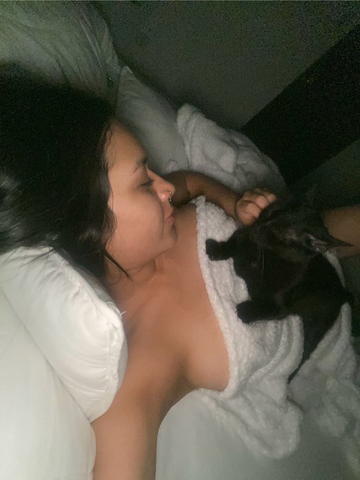 Alguien quiere ser mi gatit@ ???😻 https://t.co/802NerGIPC