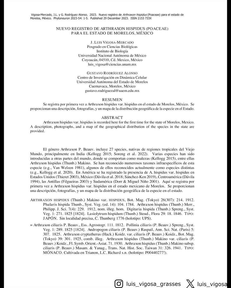 luis_vigosa's tweet photo. Nueva publicación: se registra por primera vez a Arthraxon hispidus (Poaceae) en el estado de Morelos, México
New paper: Arthraxon hispidus (Poaceae) is recorded fot the first time for the state of Morelos, Mexico

https://t.co/hFEtWFFImY

#botany #grasses #taxonomy #plants https://t.co/ZLOqKW5aPP