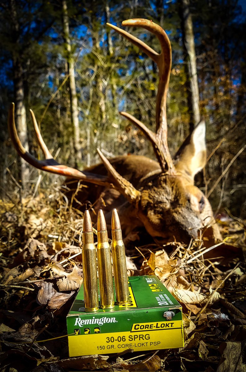 REALwhoteewho's tweet photo. 30-06 vs whitetail is now crossed off the list! @RemingtonArms #corelokt #RemingtonAmmo #whoteewho #deerseason #deerhunting #whitetail https://t.co/q2FdVFpRxC