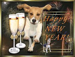 WoofRight's tweet photo. Happy New Year New Haven!

#NewYearEST

#DogRightNYE2024 #DoggoBallDrop #DogRightNewYears #DRNYE #DogRightNYE #NewYearNewDoggo https://t.co/rthXgg9t25