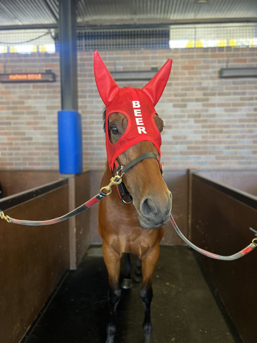 beermitchell's tweet photo. Almost!!!
A terrific run from The Boss beaten a neck in our first crack at a Midway.

Big thanks to the owners for supporting running a 56 rater at Randwick 😂 https://t.co/FcNxTAFVWb
