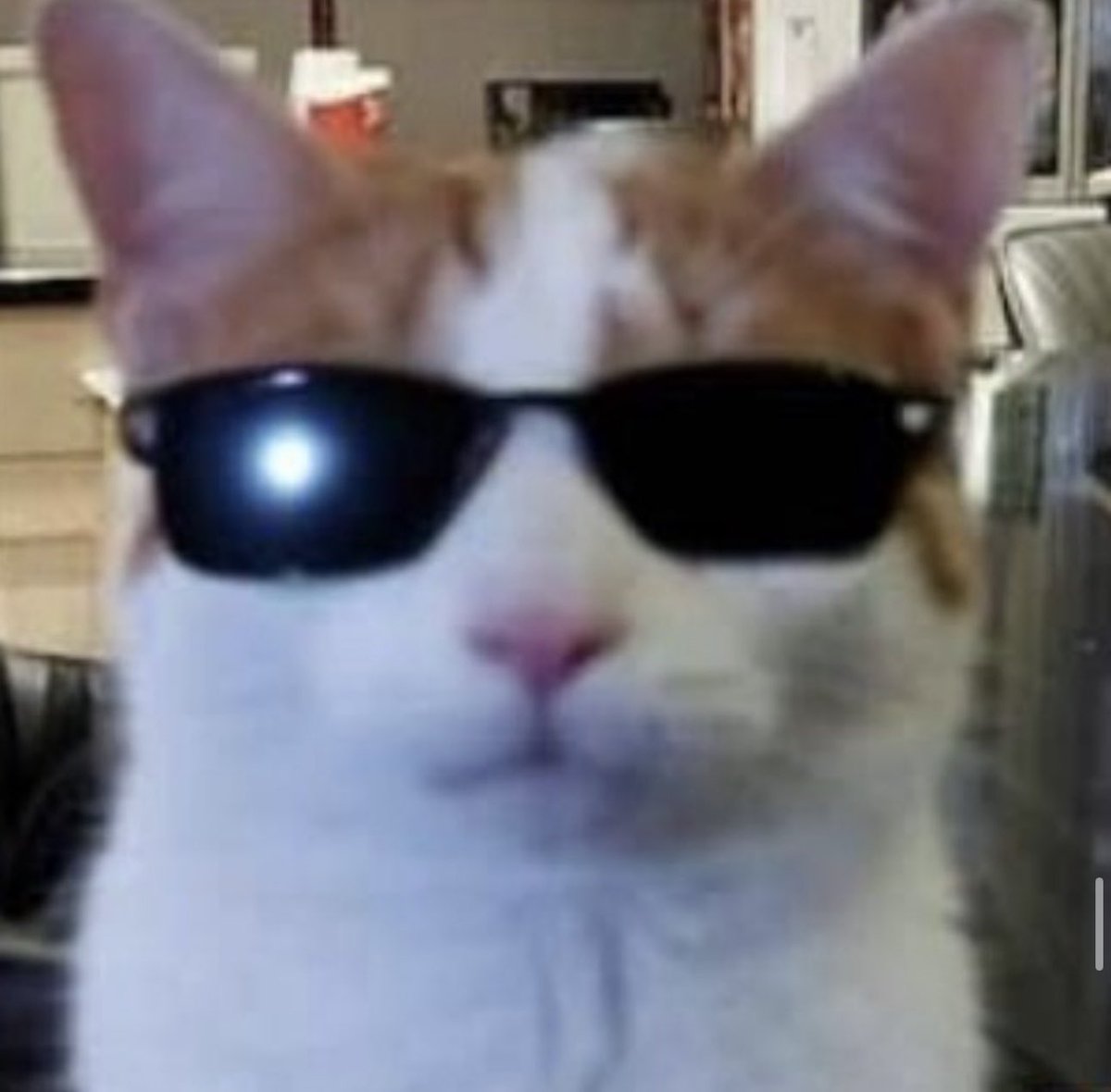 I received so much love from this community over the past year, to me it is only right that i do something for all of you! To celebrate a new year we got some loot for the gang 🥳 

Details to enter are below, including details on each item (pic to distract the bots 😎)