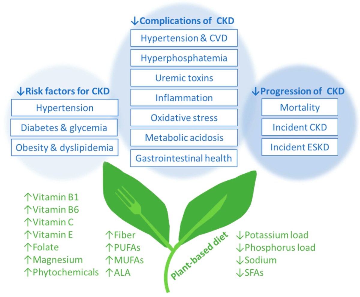 kamkalantar's tweet photo. Vegetarian Nutrition in Chronic Kidney Disease https://t.co/pZlqnGWPVT #mdpinutrients via @Nutrients_MDPI #Nutrients #CKD #Vegan @ConnieMRhee https://t.co/ZDHXp7Neq1