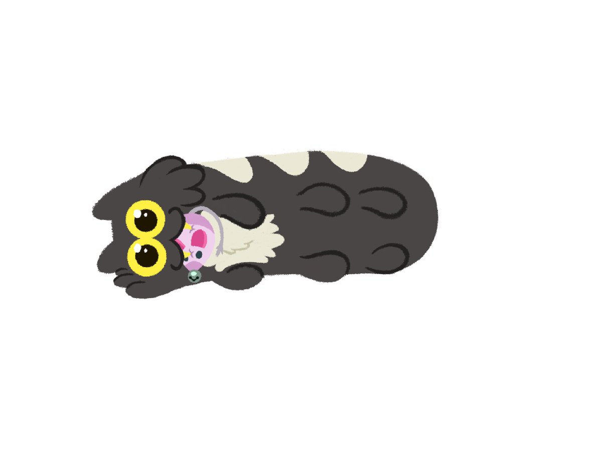 allisonpopick's tweet photo. Yeah sheβs a dangerous amphibivore and tried to kill the Plantarsβ¦.but she has a mouse toy!*
*
*
#amphibia #amphibiafandom #amphibiafanart #domino2 #caterpillar #killapillar #cat #mouse #cattoy #sharpteeth #creature #disney #disneytva #disneytvanimation #disneyfanart #art https://t.co/R3mn2fUzWp
