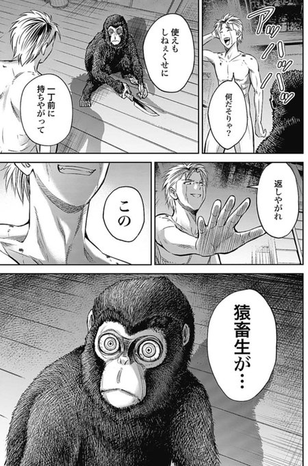 吉田薫「さるまね」連載中(@KkAaOoRrUu) さんのマンガ一覧