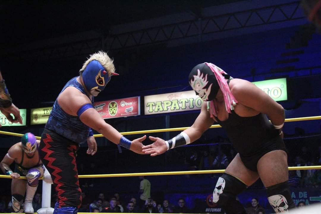 ArenaColiseoGDL's tweet photo. Rav y Mortis se llevan la victoria en la lucha inicial de esta noche 💥🍷

¡Bienvenid@s a nuestra función de Fin de Año! 

🖥 Sigue la transmisión en Facebook y YouTube 

#arenacoliseogdl #luchalibre #cmll #luchador #martesdeglamourcmll https://t.co/rG9CoJsYOr