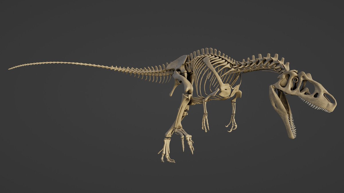 Sketchy_raptor's tweet image. An articulated digital skeleton feels a bit like a virtual action figure - I could play around with posing this thing all day.