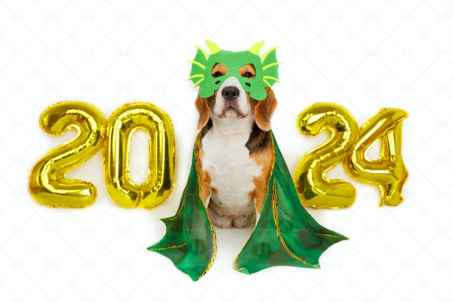 WoofRight's tweet photo. Thank you for being with us here at WoofRight for another year... get ready for 2024, it's gonna be quite a ride!

Love you all, happy new year!
-Woof

#DogRightNYE2024 #DoggoBallDrop #DogRightNewYears #DRNYE #DogRightNYE #NewYearNewDoggo https://t.co/q0o8hHHuPQ