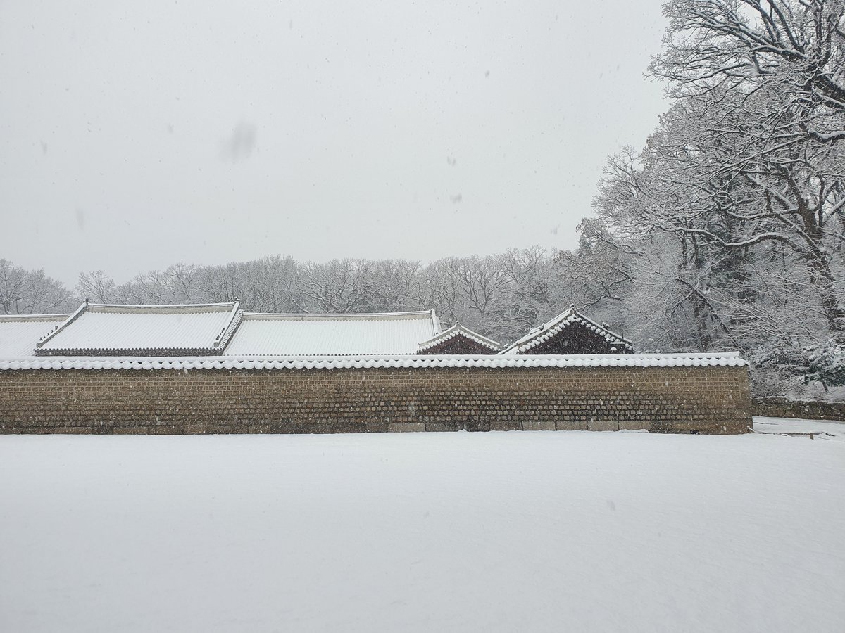오늘 종묘 관람 오신 분들이 
다들 감탄하시며 관람하시더라구요 :)

못 오시는 분들께 보여드리고 싶어서
사진... 더 찍어 왔습니다 ❄