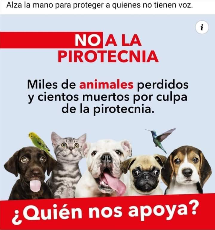 #NoALaPirotecnia