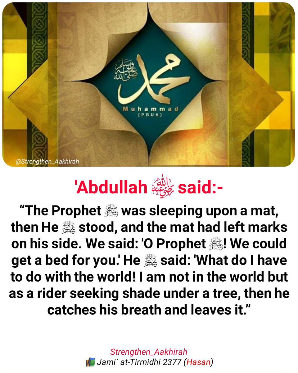 7signxx's tweet photo. The Messenger of Allah ﷺ said: https://t.co/lQtpbjFYjs