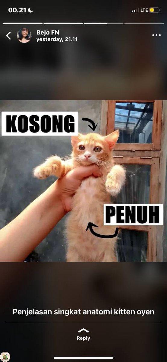 anatomi kcg! oren nih gais hahaha valid gak? 😆