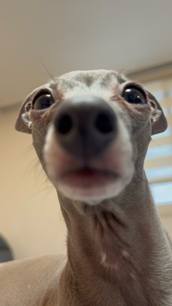 231230 1:58PM

_📸🦌