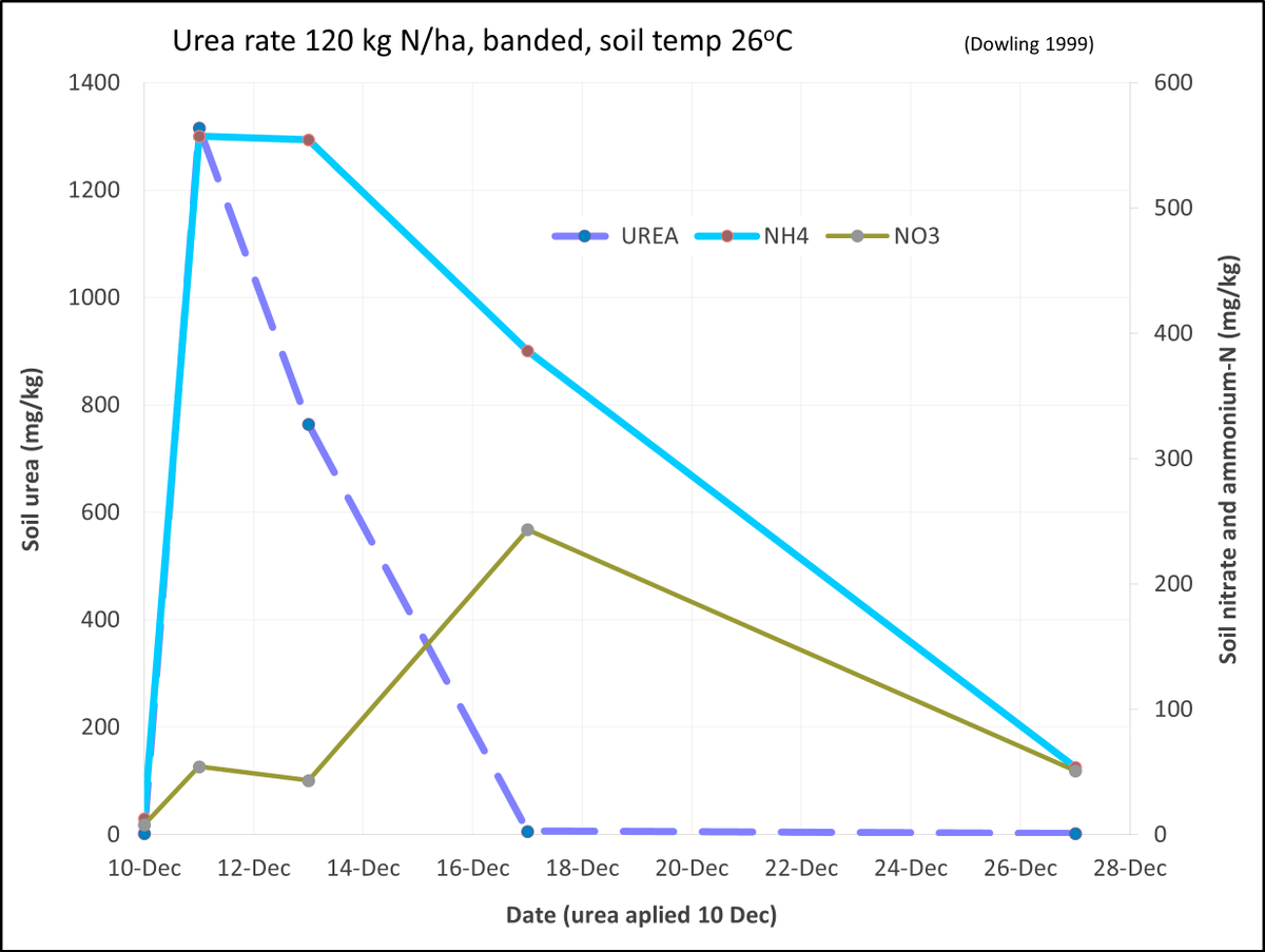 The nitrification of urea applied in summer is generally not limited by soil temperature or a lack of soil microbial population. This leaves soil water as the main factor limiting its conversion to nitrate-N. #BackpaddockNews #CottonLeafBlade

backpaddock.com.au/2023/12/29/how…