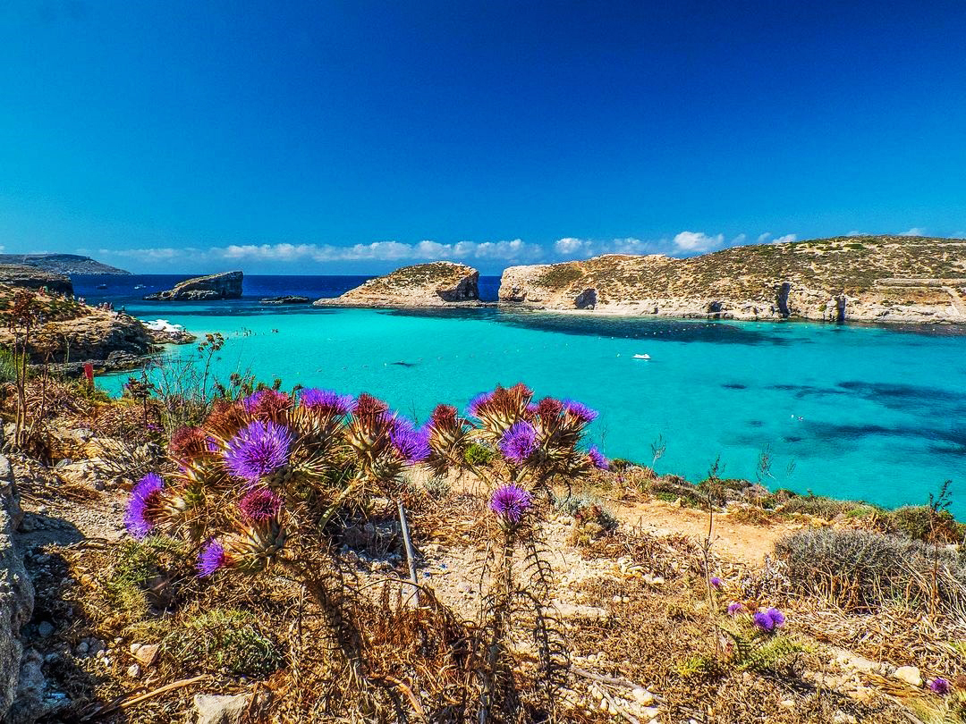 Escape to paradise with a visit to the stunning Comino, Blue Lagoon, and Crystal Lagoon in Malta! With crystal-clear turquoise waters and breathtaking scenery, this is the ultimate escape. #visitmalta #visitmalta #maltaisland #cominoisland #bluelagoonmalta #visitbluelagoonmalta