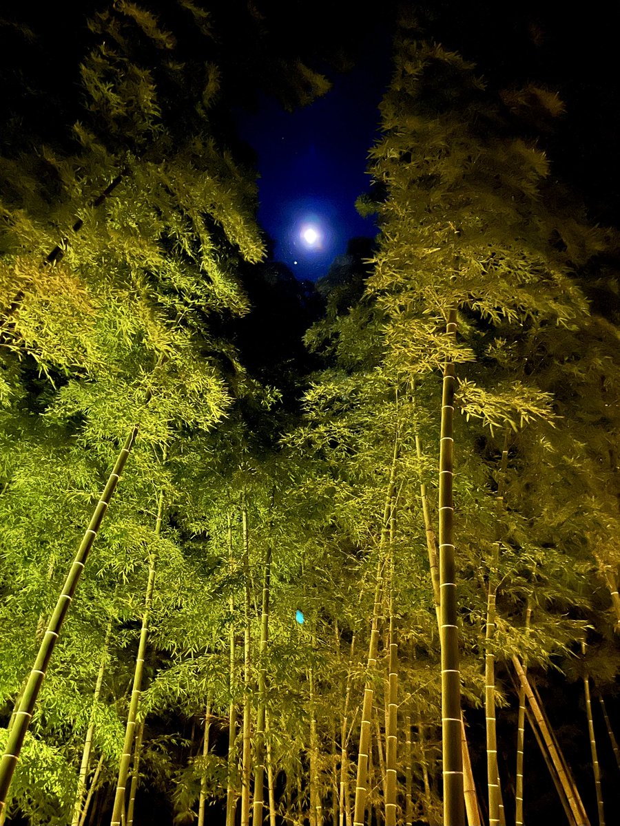 【2023→2024】
季節のご挨拶を申し上げます｡
皆様､良いお年をお迎えください｡
 
Season's Greetings from Shige Maru.
I extend my best wishes for a joyous holiday season and successful New Year.
　　ヾ(*´∀︎`*)ﾉ

#ランニング #running #グルメ #gourmet #考究 #research #感謝 #thanks