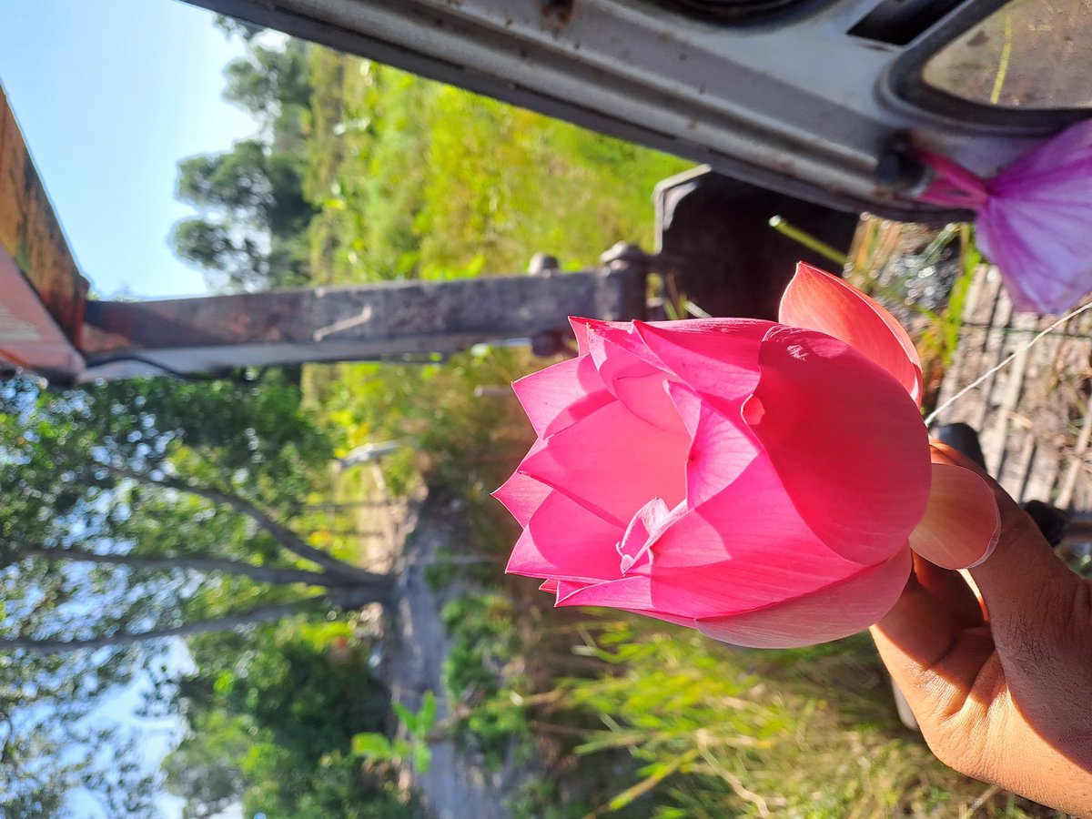 mlemleu12's tweet photo. Tối ba hòn uống cfe đê mấy fennn https://t.co/auFytwQd8A