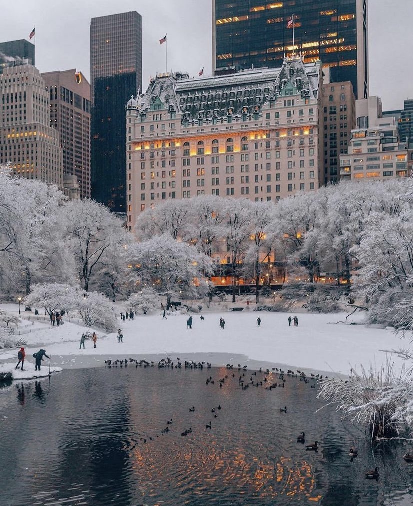 Энэ зургийг харахаар юу санаанд оржийно☺️
