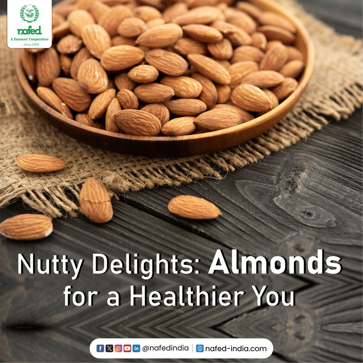 nafedindia's tweet photo. Almonds are a treasure trove of essential nutrients. From heart-healthy monounsaturated fats to vitamin E, magnesium, and fiber, these bite-sized wonders pack a punch. Grab these tiny power bite at NAFED stores today !
#AlmondsFromNAFED #HealthyNuts
#NAFEDQuality #IndianAlmonds
#NutritionFromNAFED #FarmersProduce
#QualityAlmonds #NAFEDAgriProducts