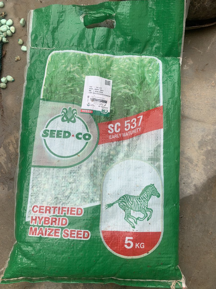 amosbulukutu's tweet photo. @SeedcoMalawi  what is this https://t.co/GihG1Xl3TV