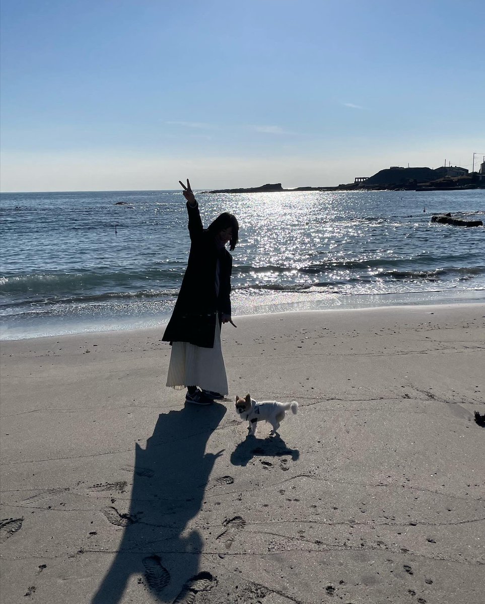 gacchy0903's tweet photo. GIN2回目の海🩵
砂浜は嬉しそうにかけまわってたけど、波の近くは、怖がって逃げてましたww

#チワワ2回目海
#南房総ドライブ 
#チワワ砂浜散歩 https://t.co/ARoDVstdqs