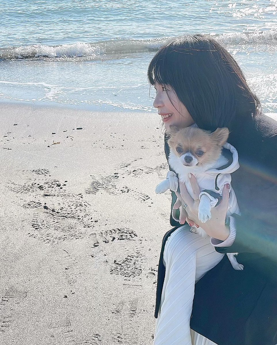 gacchy0903's tweet photo. GIN2回目の海🩵
砂浜は嬉しそうにかけまわってたけど、波の近くは、怖がって逃げてましたww

#チワワ2回目海
#南房総ドライブ 
#チワワ砂浜散歩 https://t.co/ARoDVstdqs