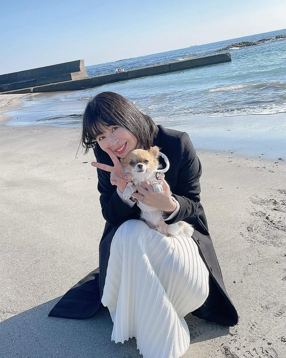 gacchy0903's tweet photo. GIN2回目の海🩵
砂浜は嬉しそうにかけまわってたけど、波の近くは、怖がって逃げてましたww

#チワワ2回目海
#南房総ドライブ 
#チワワ砂浜散歩 https://t.co/ARoDVstdqs