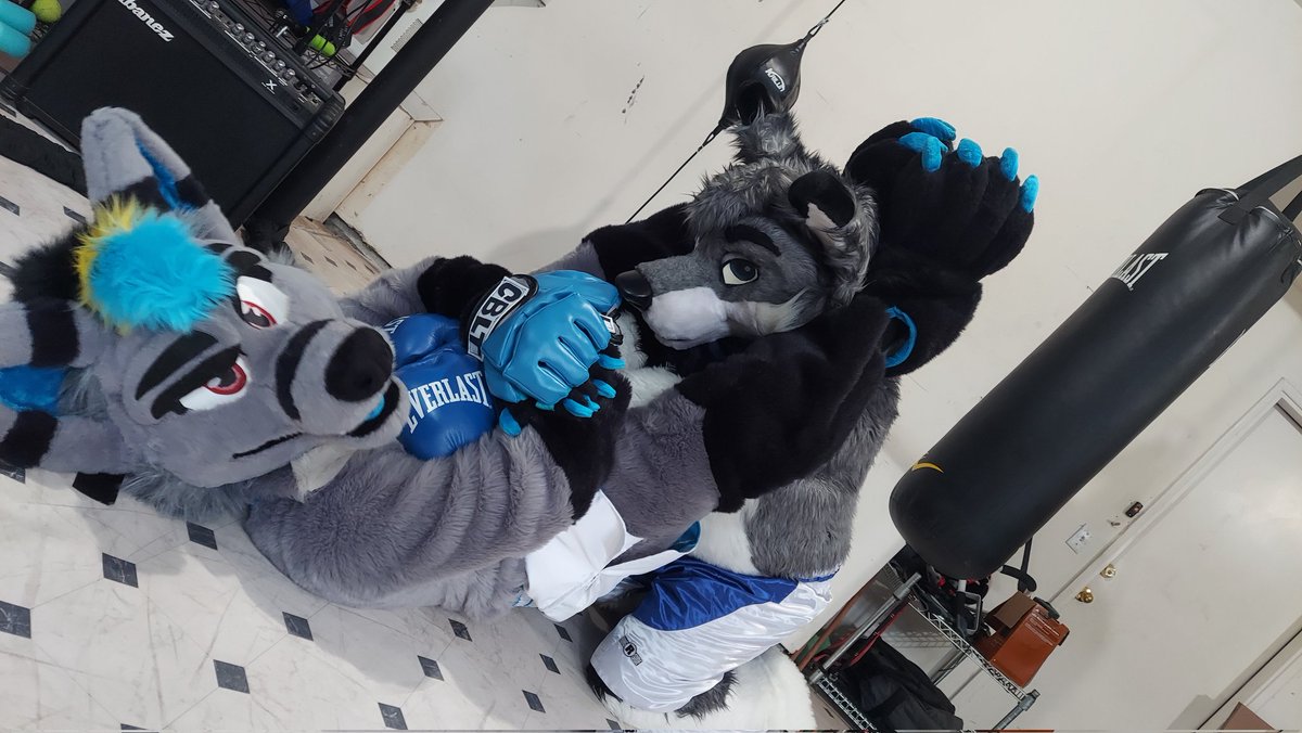 Tap out, doggie! #FursuitFriday

🐺 <a href="/KyashKT/">Kyash! 🐺💫@ AC</a>