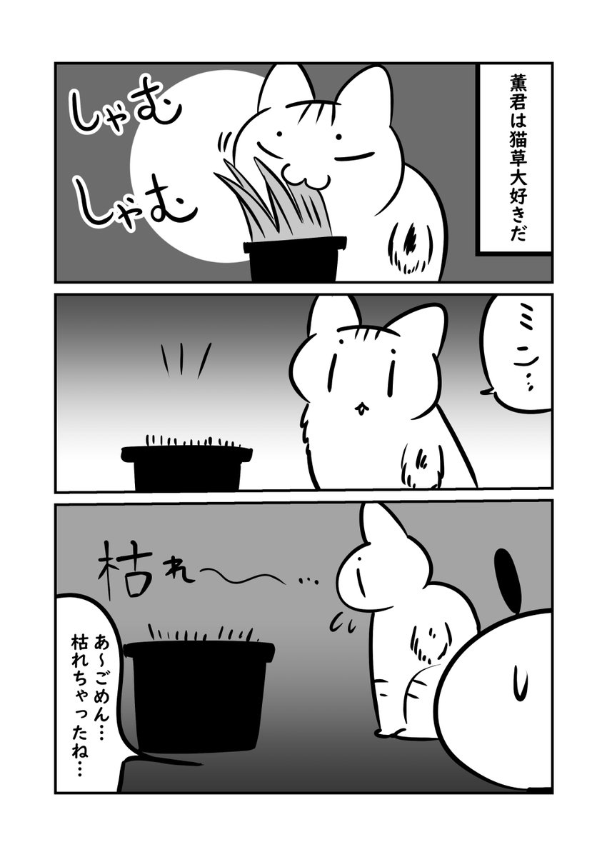 草はねこのもの😾1/2