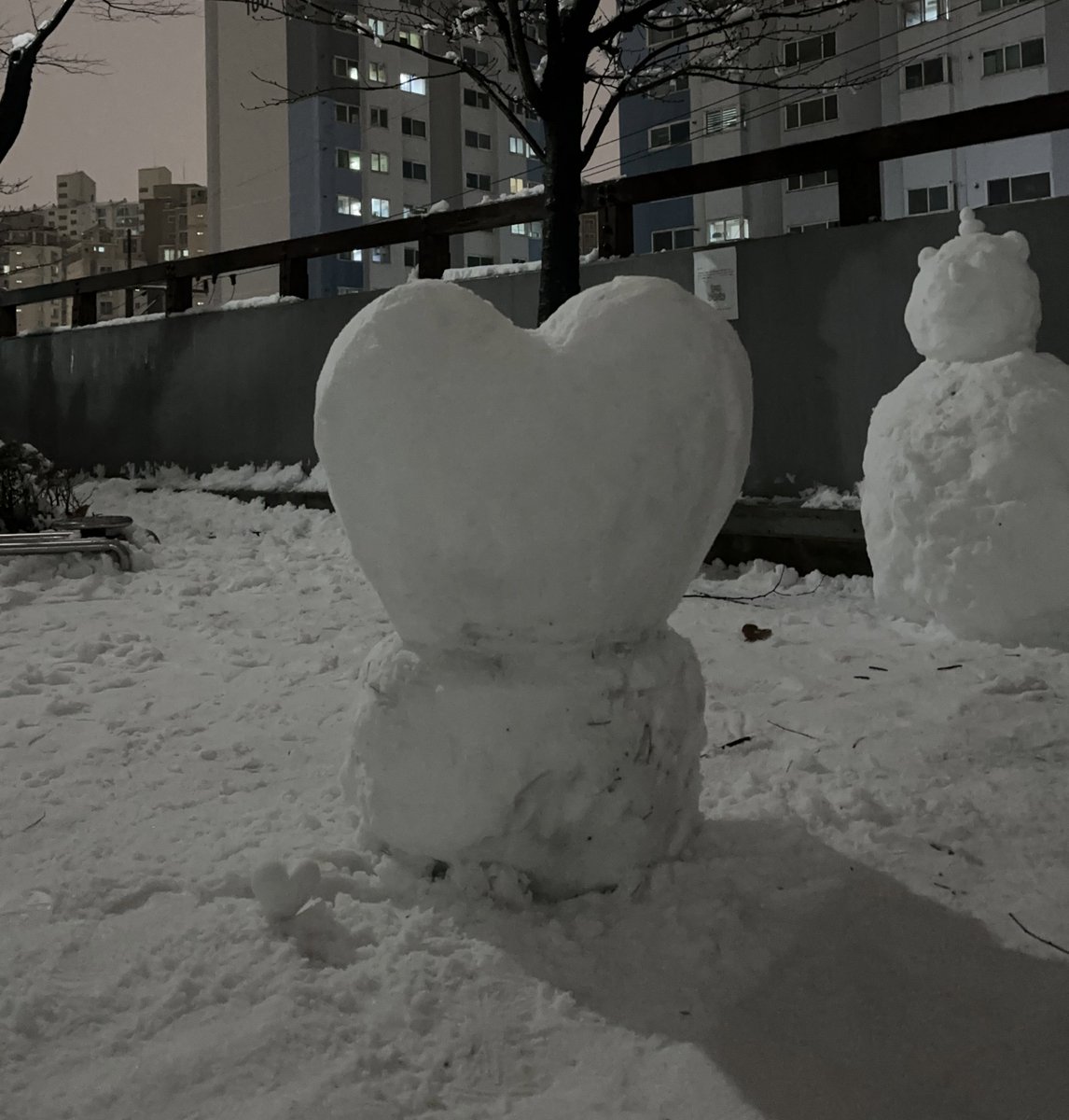 🐶🤍마음 크기 ♡