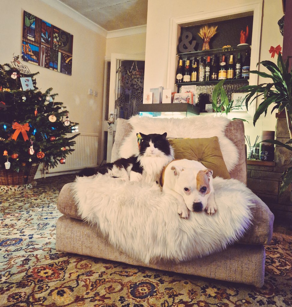 Realise I'm late, and most of you will have forgotten who I am, but wanted to let you know you're in my thoughts. Missing the japes and jiggery with you gorgeous lot - it's been busy year. Am over on FB if you need me. Anyhoo, happiest of season's greetings, team. Much love. Jo x