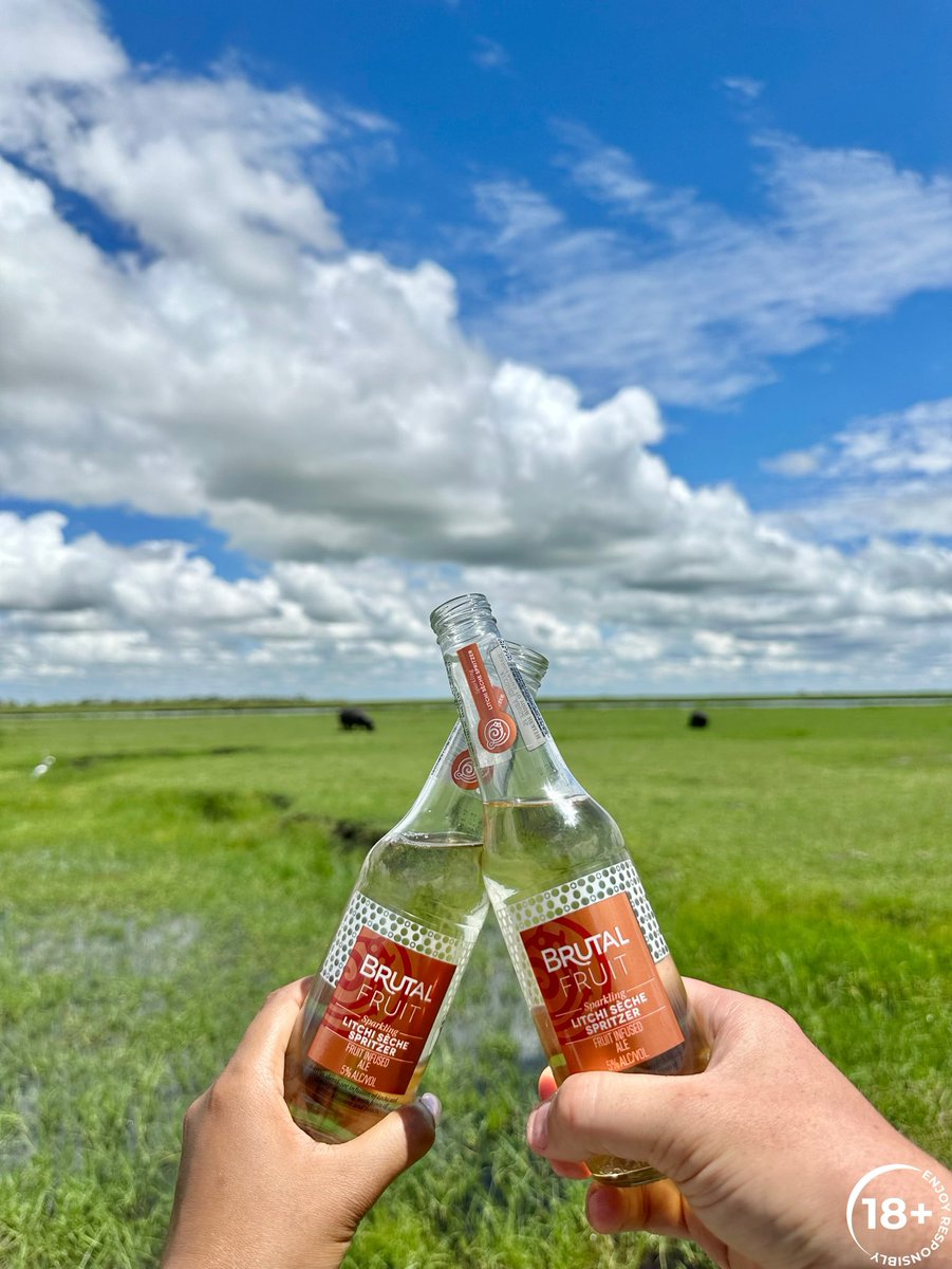 The heat of the African sun followed by a cool refreshment. 😍🥂
My version of a perfect holiday! ❤️

<a href="/brutalfruitsa/">Brutal Fruit</a> 
#SpritzerSaturday #BrutalFruitSpritzer