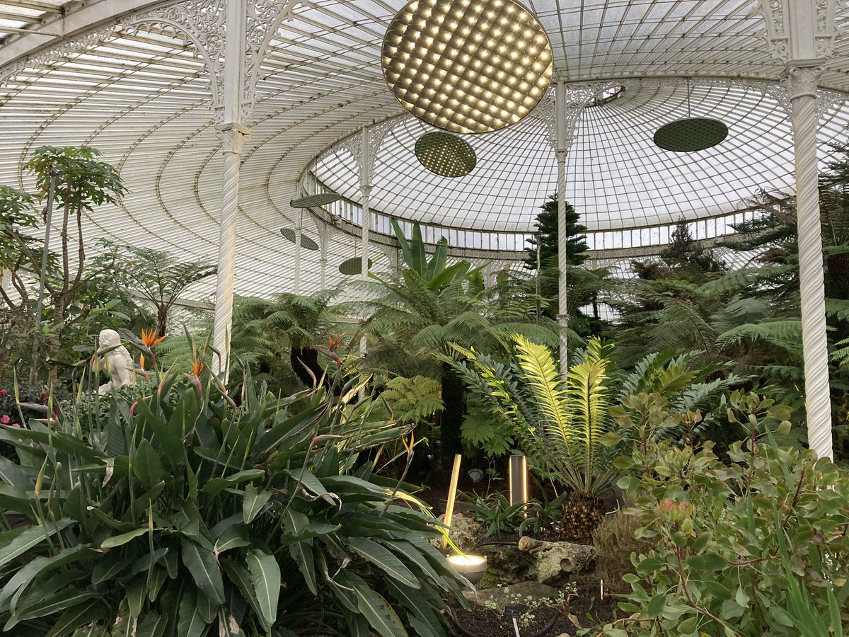 GlasgowBotanic tweet picture