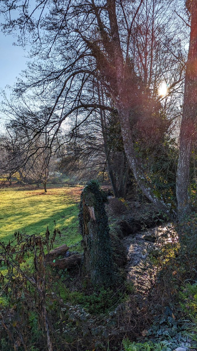 Sol de invierno ☀️