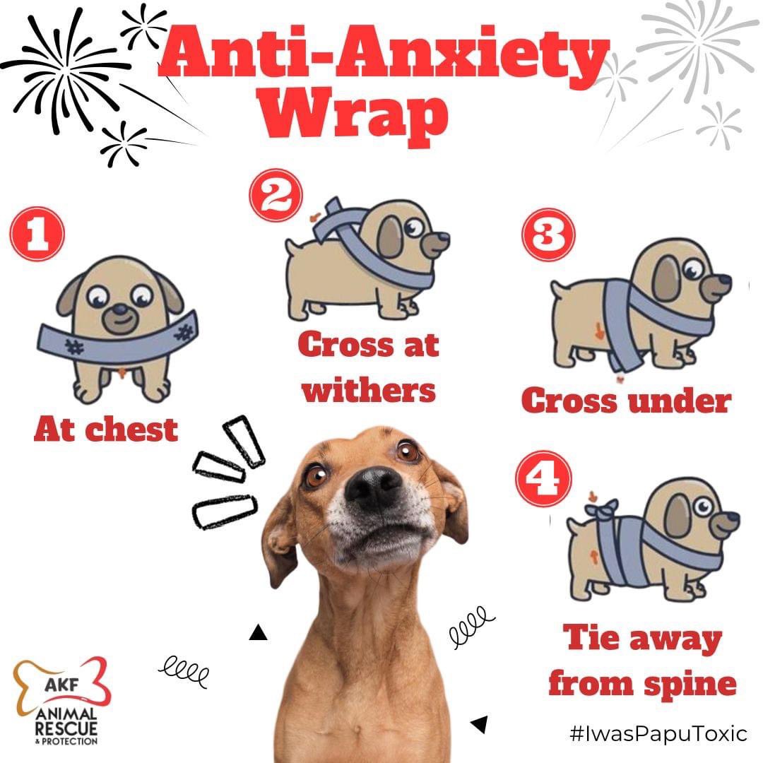 Anxiety wraps offered a great solution to many pets and pet owners during a moment of distress but especially during fireworks on New Year's Eve.

Here's how to do it for a #IwasPaputoxic #NewYearsEve!